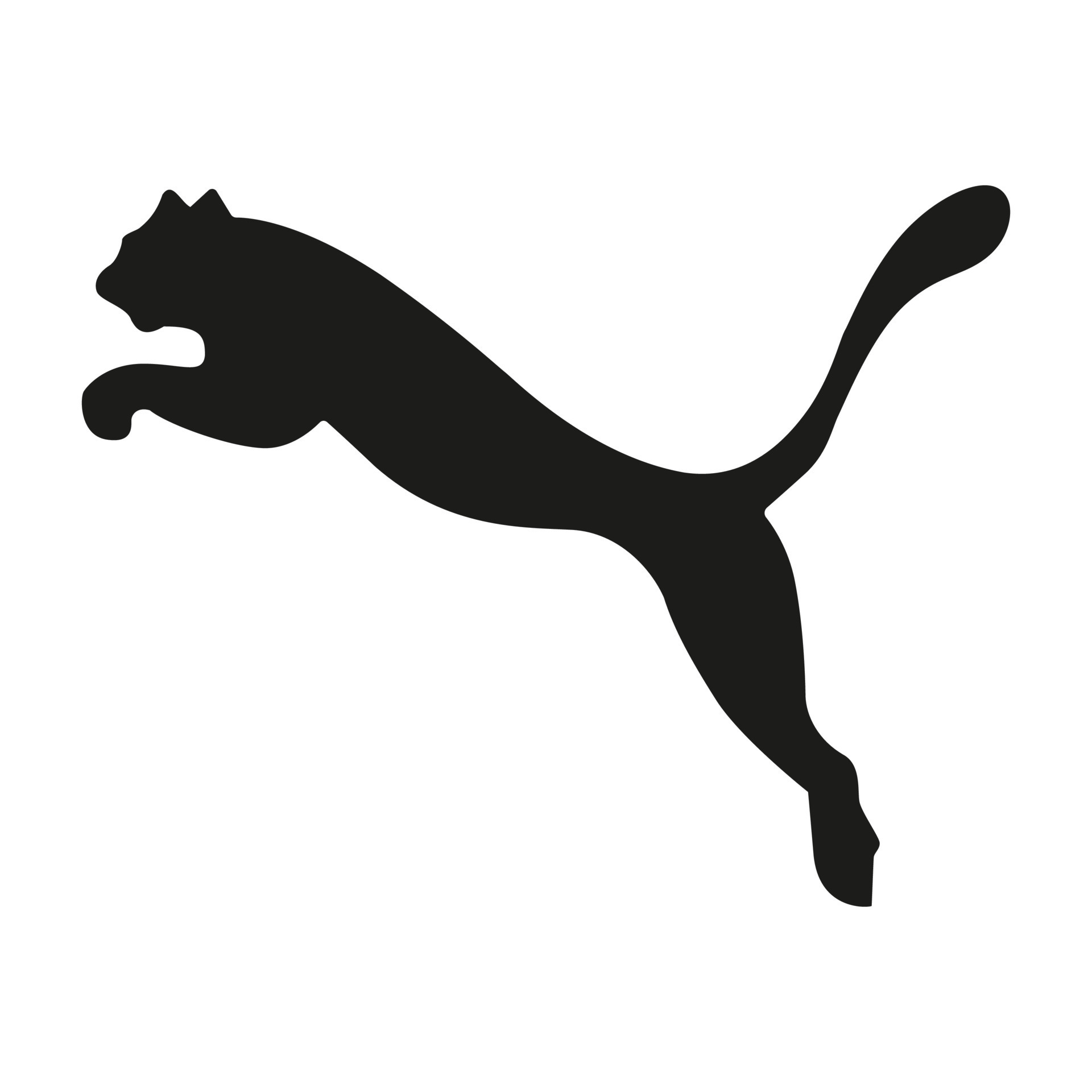 puma logo